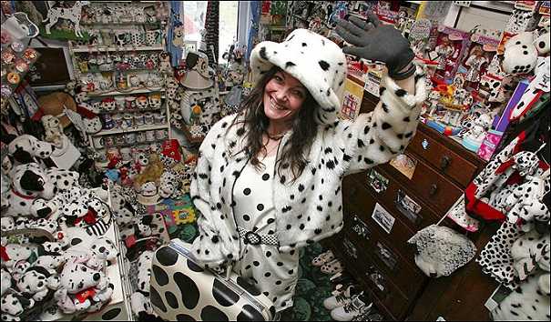 Oddest Collections Dalmation