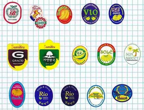 Craziest Collections Banana Stickers