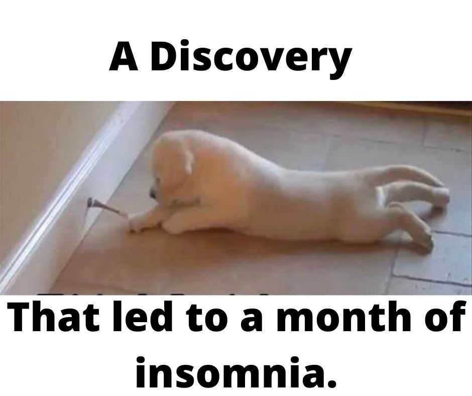 A Discovery Cute Funny Animals 4 Puppy Discovery