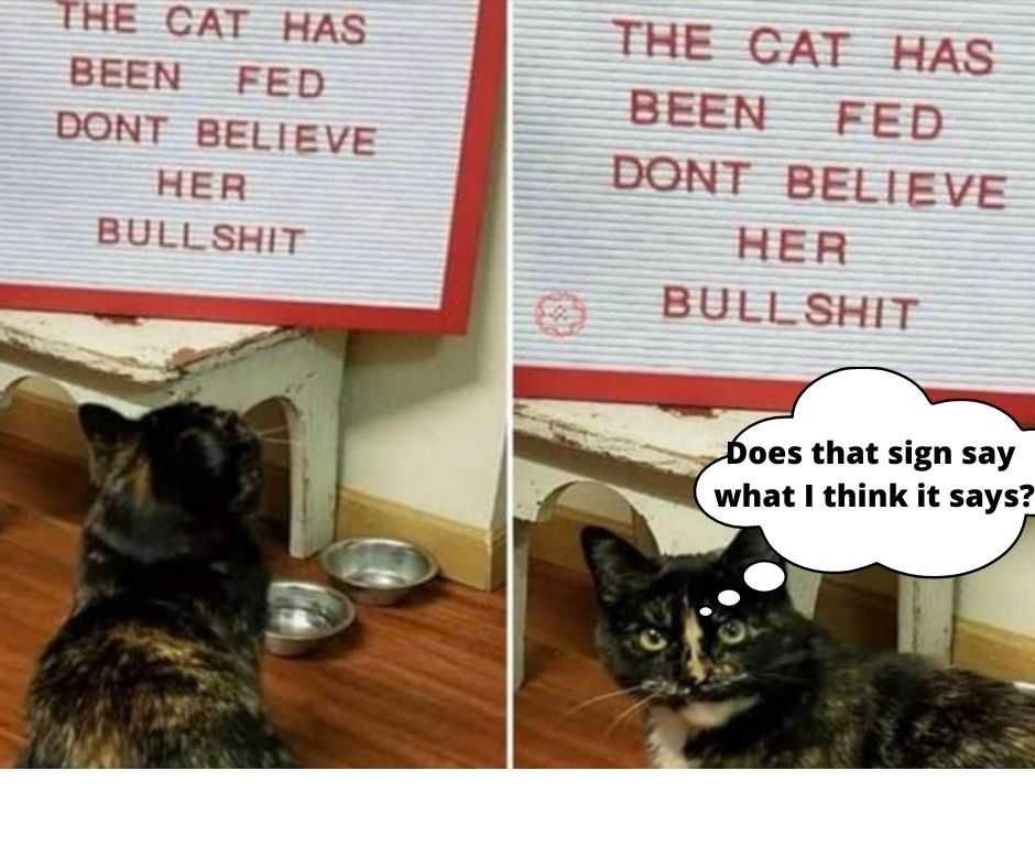 Does That Sign Say What I Think It Says? Cute Funny Animal 9 Sign Of Things To Come