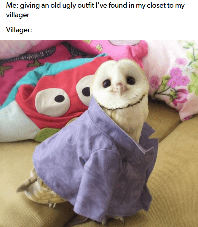 Animal-Crosing-Meme-Fashion Funny Animal Crossing Meme Wearing It Like A Boss
