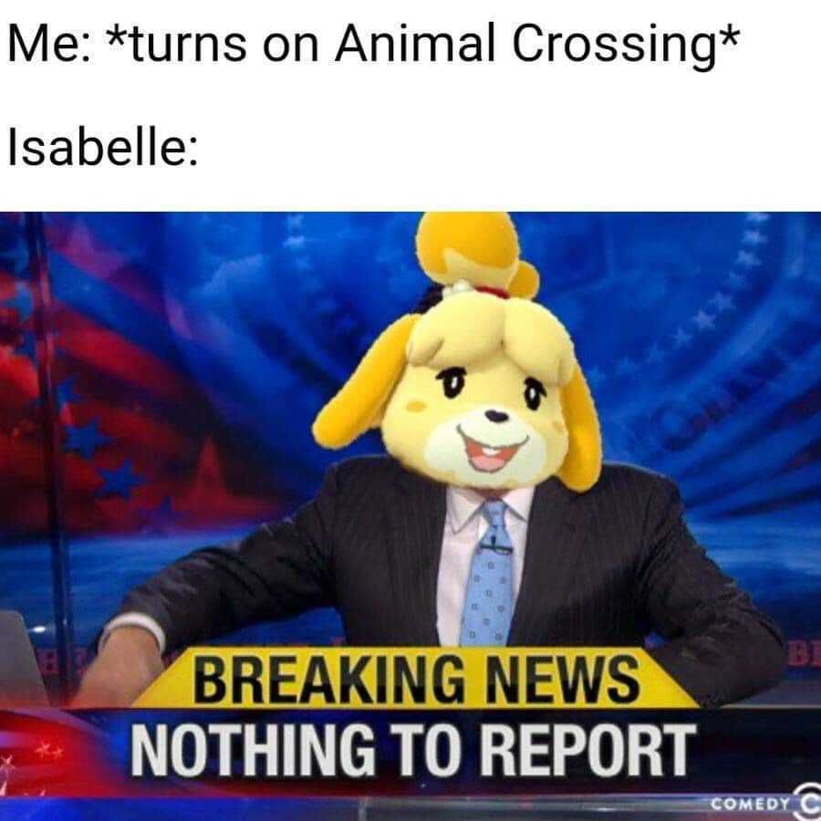 Animal-Crossing-Meme-Nothing-To-Report Funny Animal Crossing Memes Lots Happening While You Were Gone!