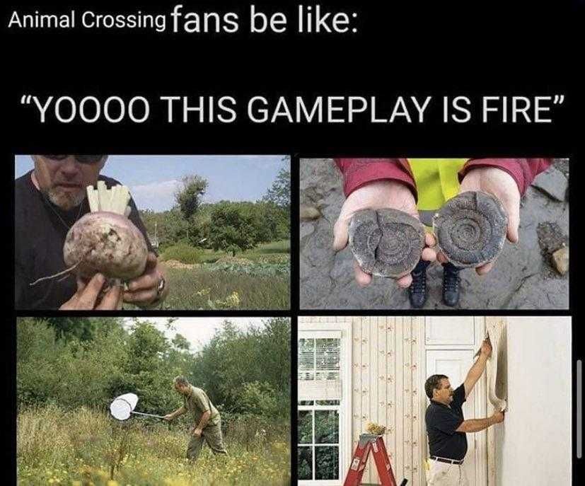 Animal-Crossing-This-Game-Is-Fire Funny Animal Crossing Meme Such Exciting Developments