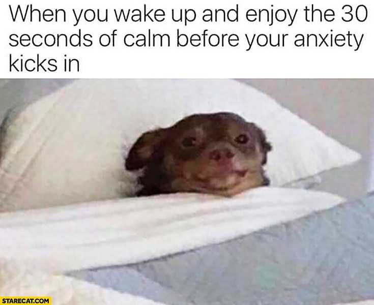 Anxiety-Kicks-In Hilarious Anxiety Memes All 30 Seconds