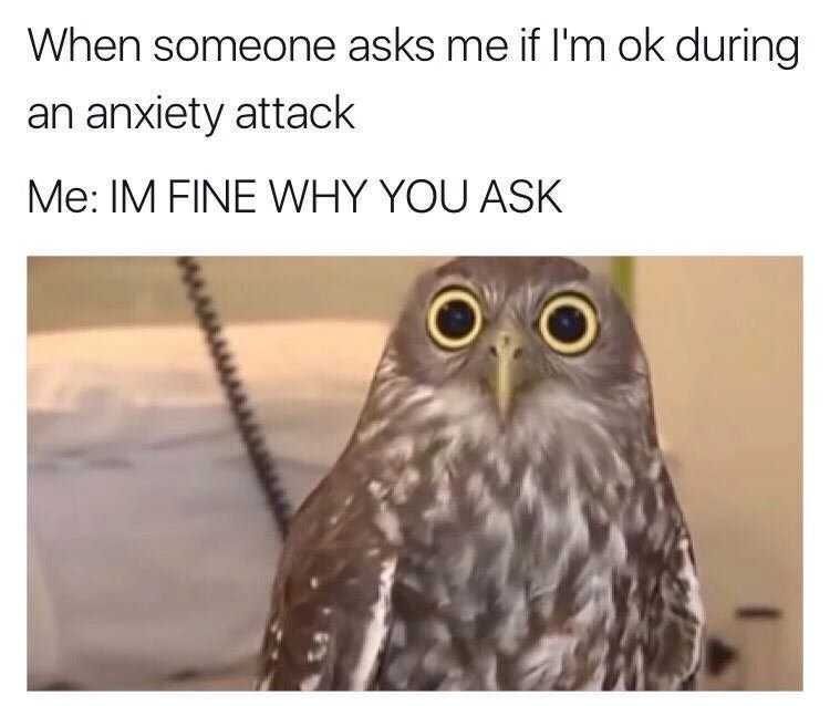 Anxiety-Why-You-Ask Funny Anxiety Memes Anxiety Owl