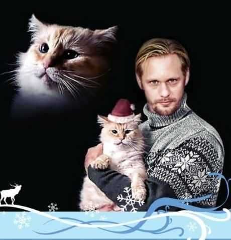 Christmas-Card-Wins-Santa-Hat-Cat Funny Christmas Card Fails Meowy Christmas