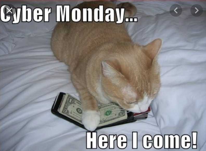Cyber-Monday-Animal-Memes-1 Cyber Monday Animal Meme Here I Come
