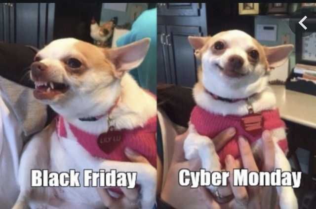 Cyber-Monday-Animal-Memes-11 Cyber Monday Animal Meme Happy About Deals