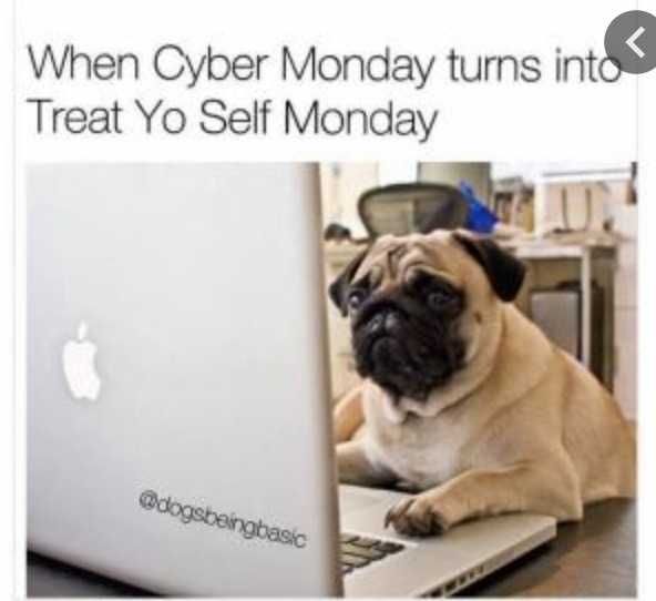 Cyber-Monday-Animal-Memes-14 Cyber Monday Animal Meme Treat Yourself