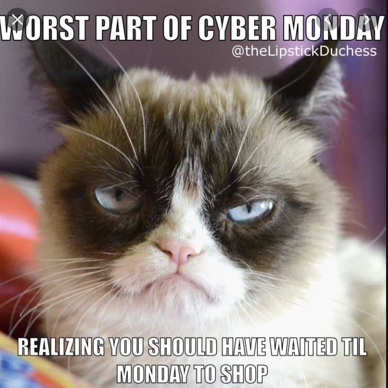Cyber-Monday-Animal-Memes-15 Cyber Monday Animal Meme Grumpy Cat