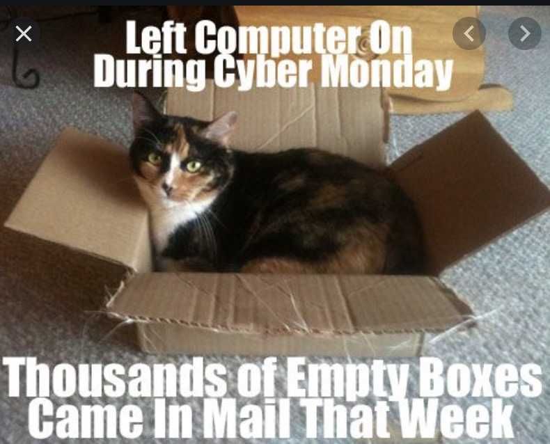 Cyber-Monday-Animal-Memes-18 Cyber Monday Animal Meme Heaven