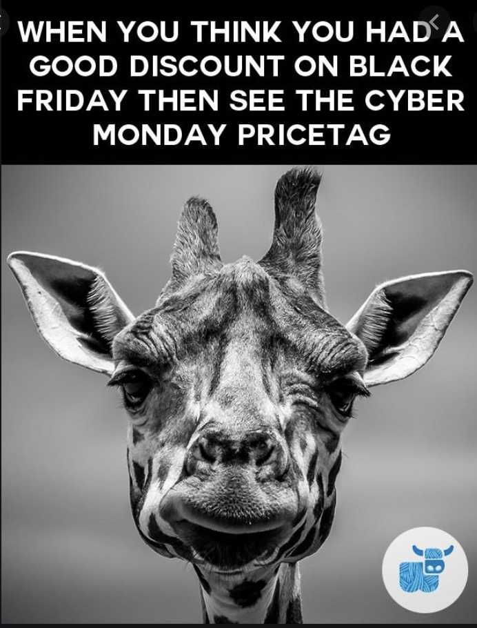 Cyber-Monday-Animal-Memes-3 Cyber Monday Animal Meme Sad Giraffe