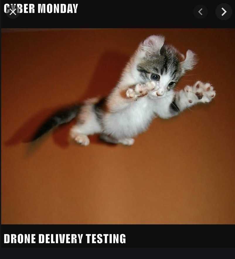 Cyber-Monday-Animal-Memes-4 Cyber Monday Animal Meme Drone Testing