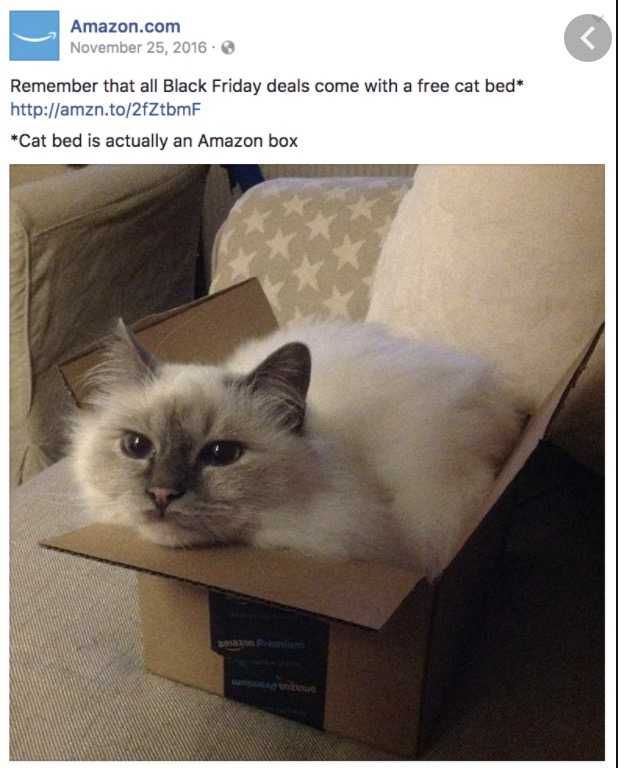 Cyber-Monday-Animal-Memes-7 Cyber Monday Animal Meme Got A New Bed