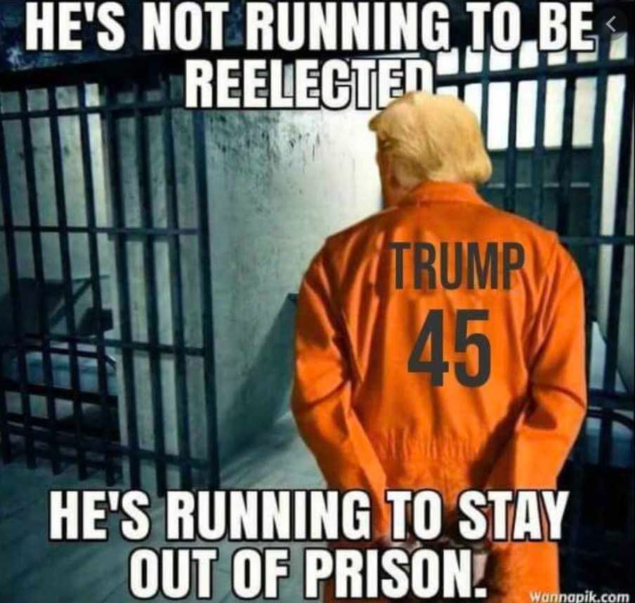 Election-Meme-4 Election 2020 Meme Staying Out Of Prison