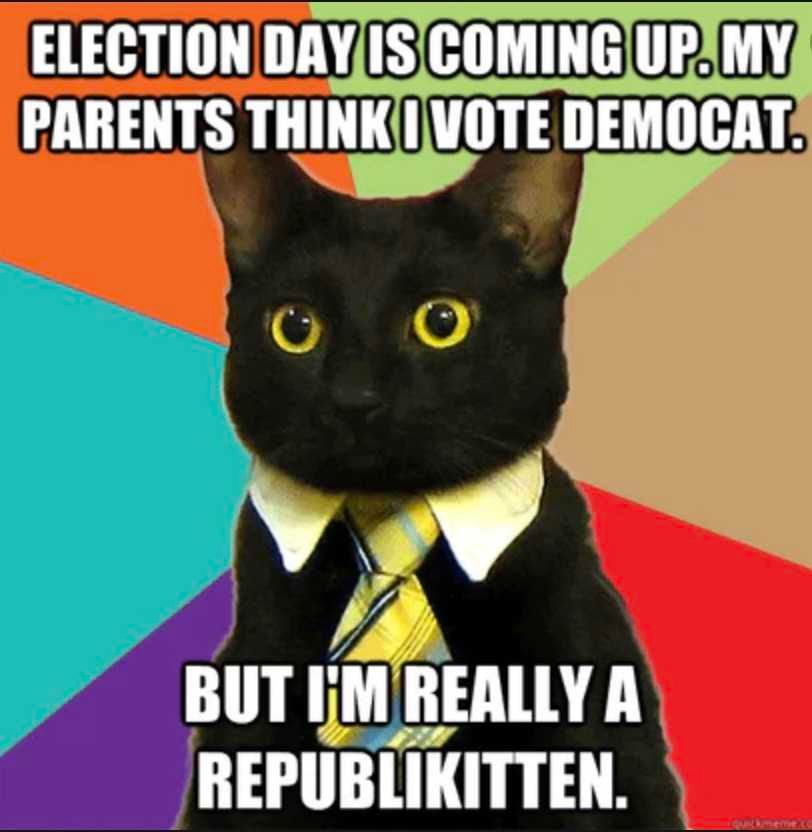 Election-Meme-8 Election Meme Democat Vs Republikitten