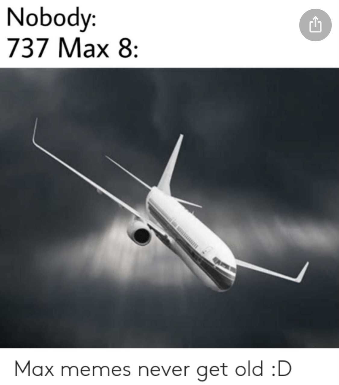 Funny-737-Max-Memes-5 Funny 737 Max Memes Max Memes