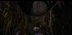 Indiana Jones Boulder Indiana Jones Christmas Boulder