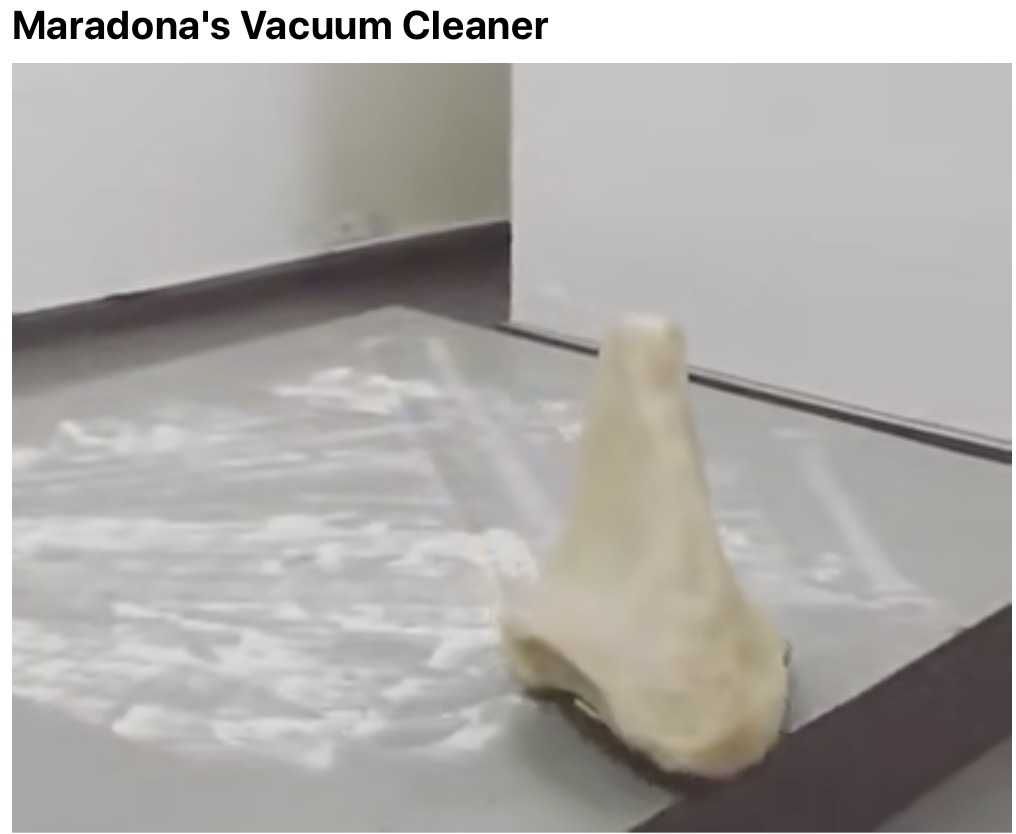Maradona-Meme-12 Maradona Meme Maradona Vacuum Cleaner