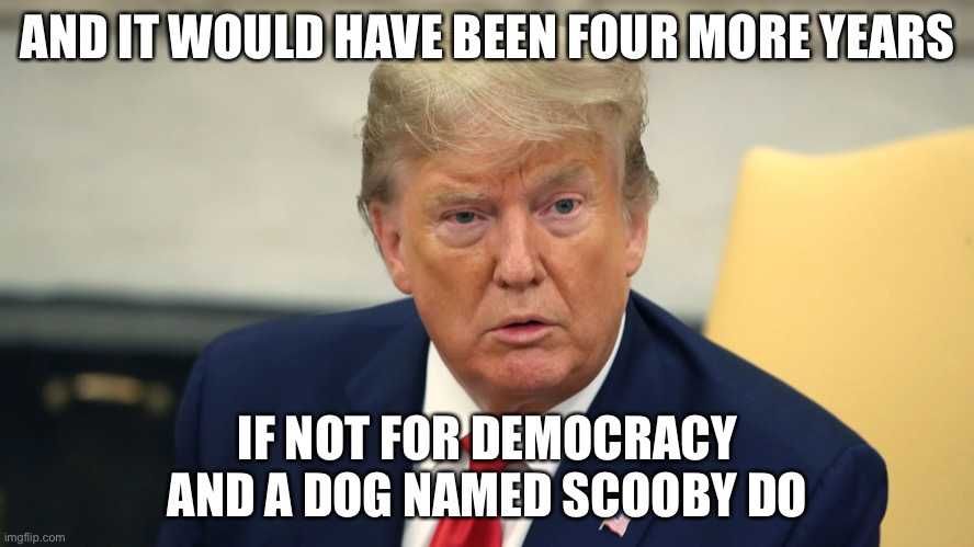 Meme-Scooby-Doo Funny Life Memes Scooby Doo