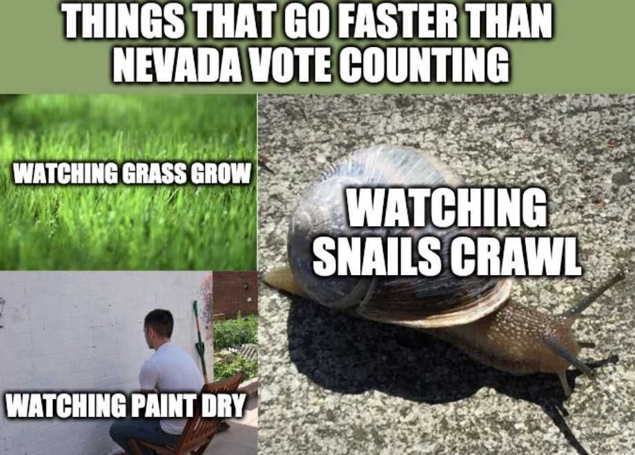Nevada-Vote-Counting-Meme-1 Nevada Vote Counting Meme 1 Things That Go Faster Than Nevada Vote Counting