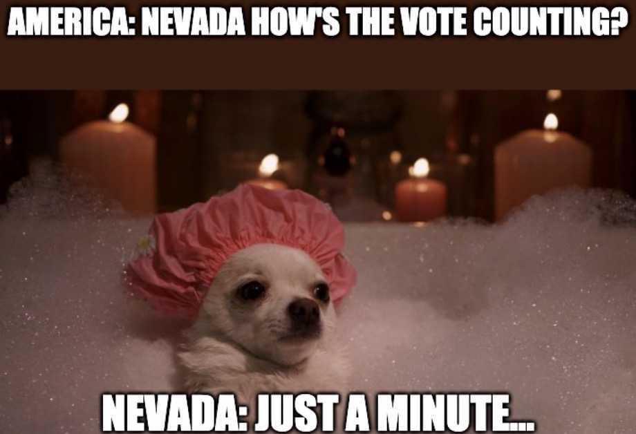 Nevada-Vote-Counting-Memes-10 Nevada Vote Counting Meme 10 Chiuaua Taking Bubble Bath