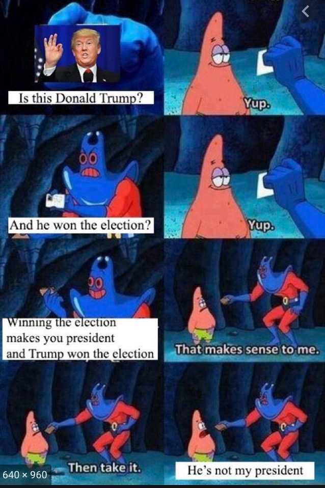 Not-My-President-Memes-8 Not My President Memes Sponge Bob