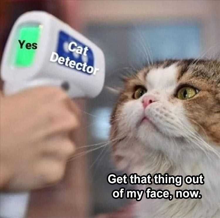 The Funniest Animal Memes Of The Week 38 Pics 5Fba7Cdf8Fb35