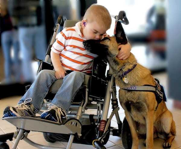 Touching Pictures  Dog Sharing Hug With Therapy Animal