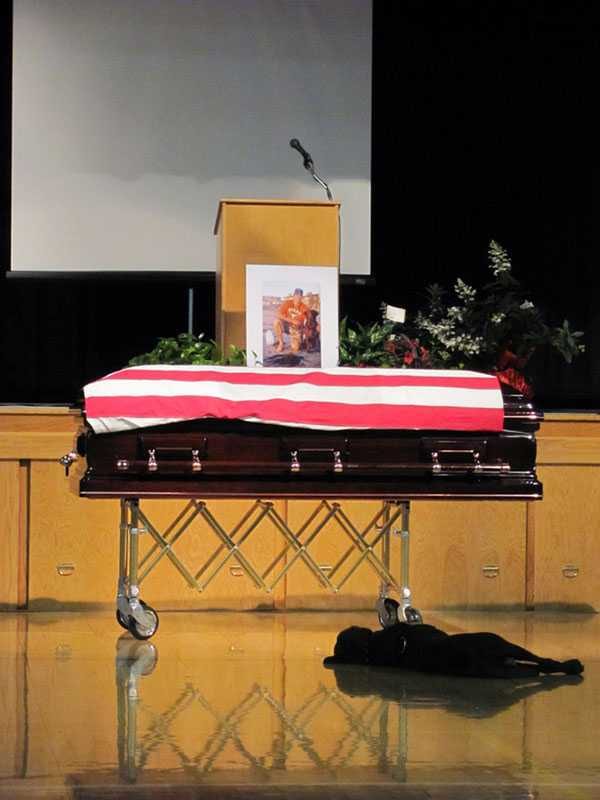 Touching Pictures  Loyal Dog