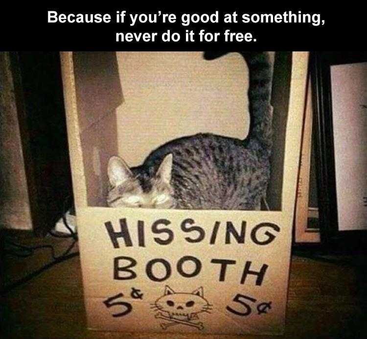 Animal Memes Funny Af Hissing Booth