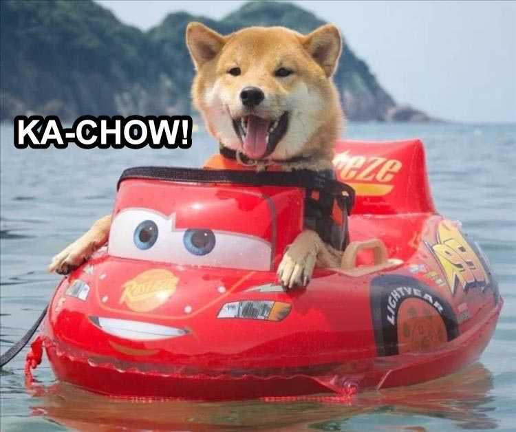 Lol Dog Captions Chow