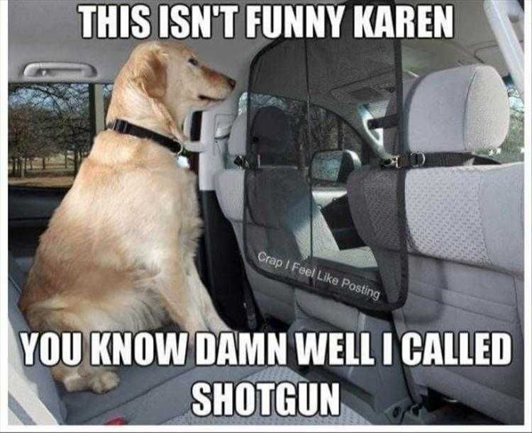 Top 28 Funny Animal Memes Of The Day 5Fb293Dabb508