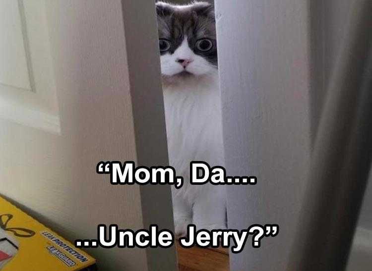 Funny Pet Meme Can'T Watch
