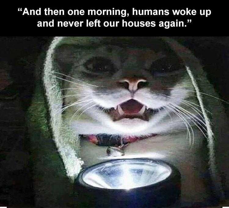 Top 35 Funny Animal Memes Of The Day 5Fb3E5655E29F