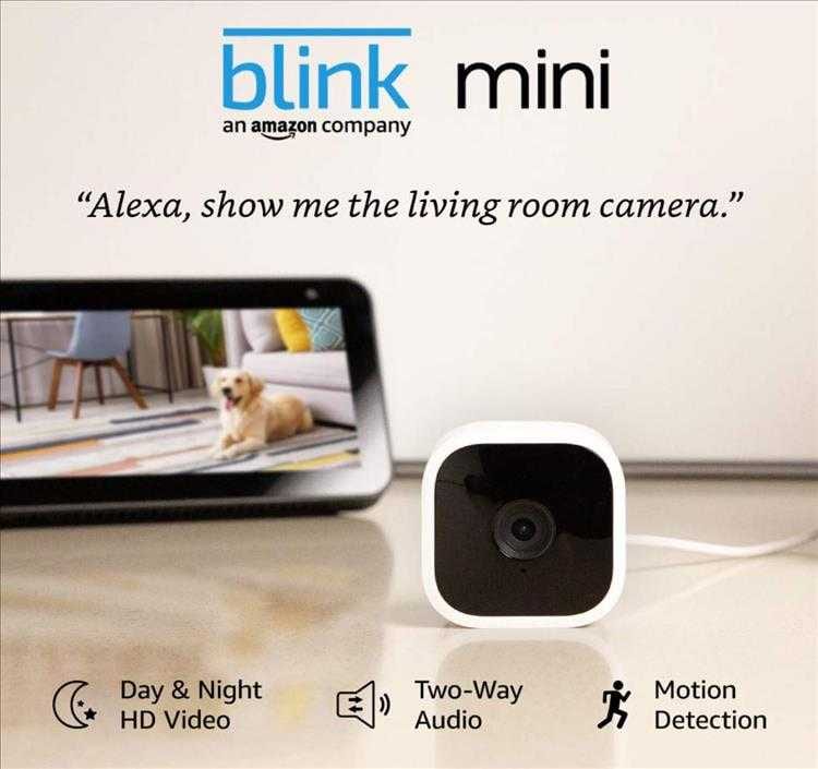 Top 10 Best Christmas Gift Ideas Under $50  Blink Mini