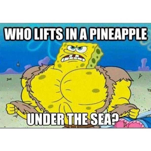 Tumblr_Mpqn19Eulr1Rdp3Zlo1_640 Funny Spongebob Memes Spongebob Hulk Pants