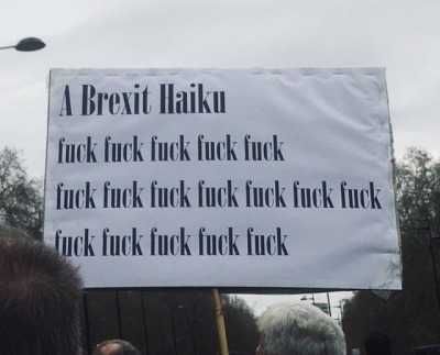 Tumblr_Potw07Qlfh1Th1Lrfo2_400 Funny Protest Sign Memes Brexit Haiku