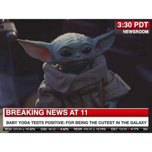 Yoda-Cutest Yoda Cutest
