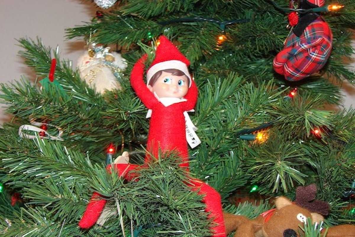 2020-Elf-In-The-Tree 2020 Elf On The Shelf Ideas On Tree Branch Nothing To Do