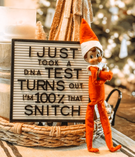 2020-Elf-On-The-Shelf-Snitch 2020 Elf On The Shelf Ideas Dna Test