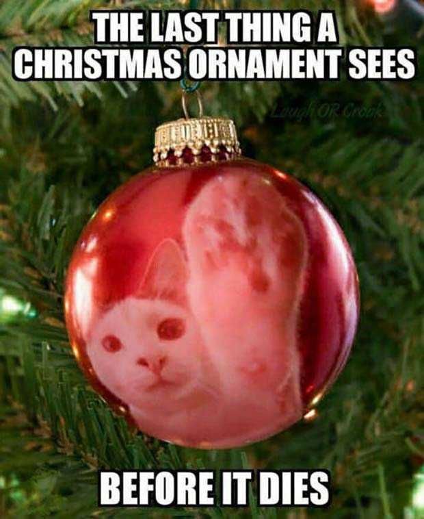 Christmas-Meme-10 Funny Christmas Memes Cat Attack