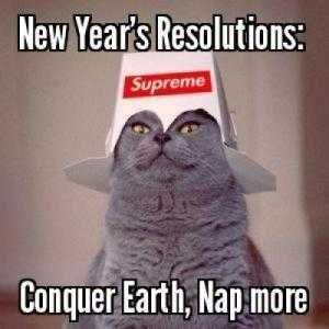 New-Years-Resolution-Memes-17 Funny New Years Resolution Memes Conquering Earth