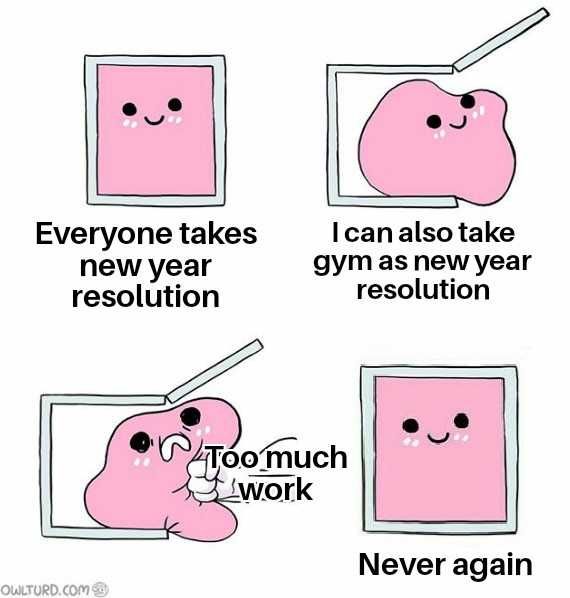 New-Years-Resolution-Memes-5 Funny New Years Resolution Meme Too Much Work