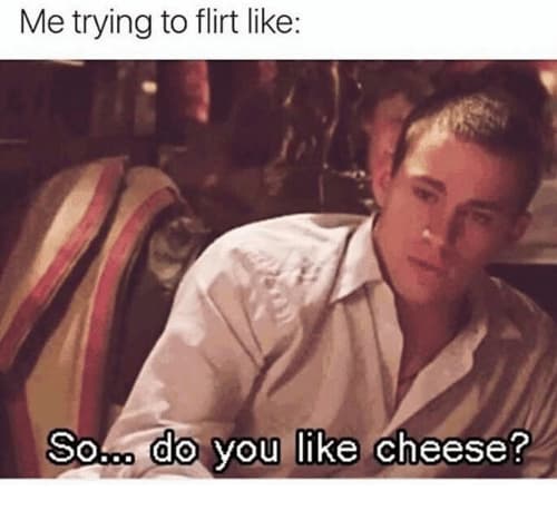 Cheese Memes  Like Cheese