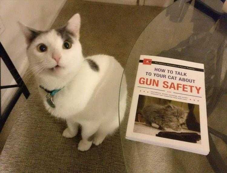 Hilarious Pet Pics Time To Have That Talk