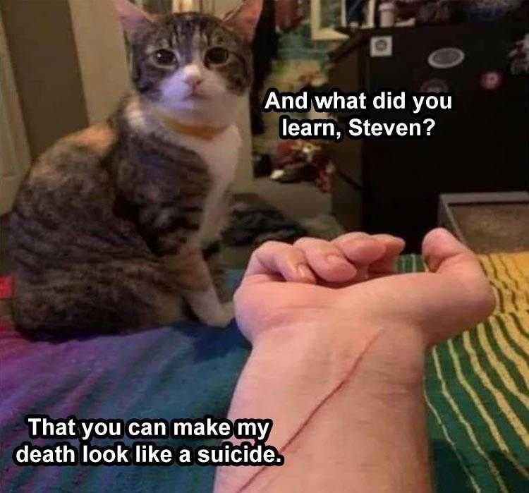 Funny Animal Pics Memes Cat Threat