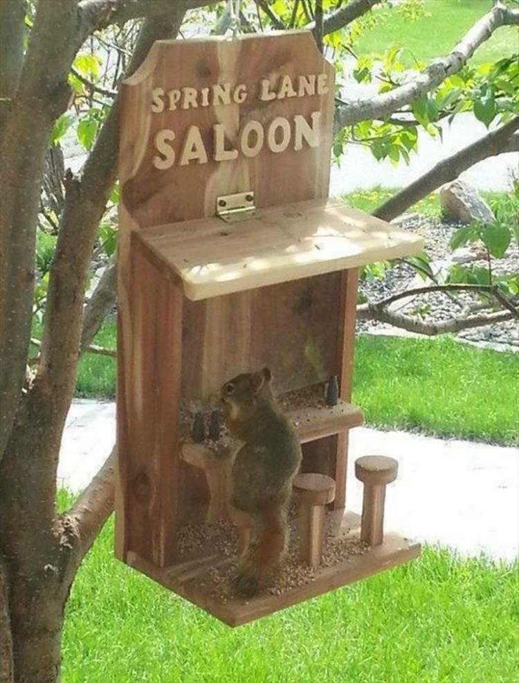 Top 23 Funny Pet Pics Of The Day Nut Bar