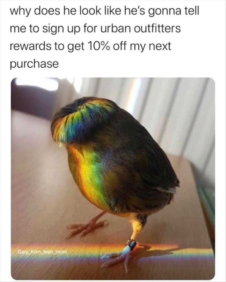 Funny Bird Photo Stylish