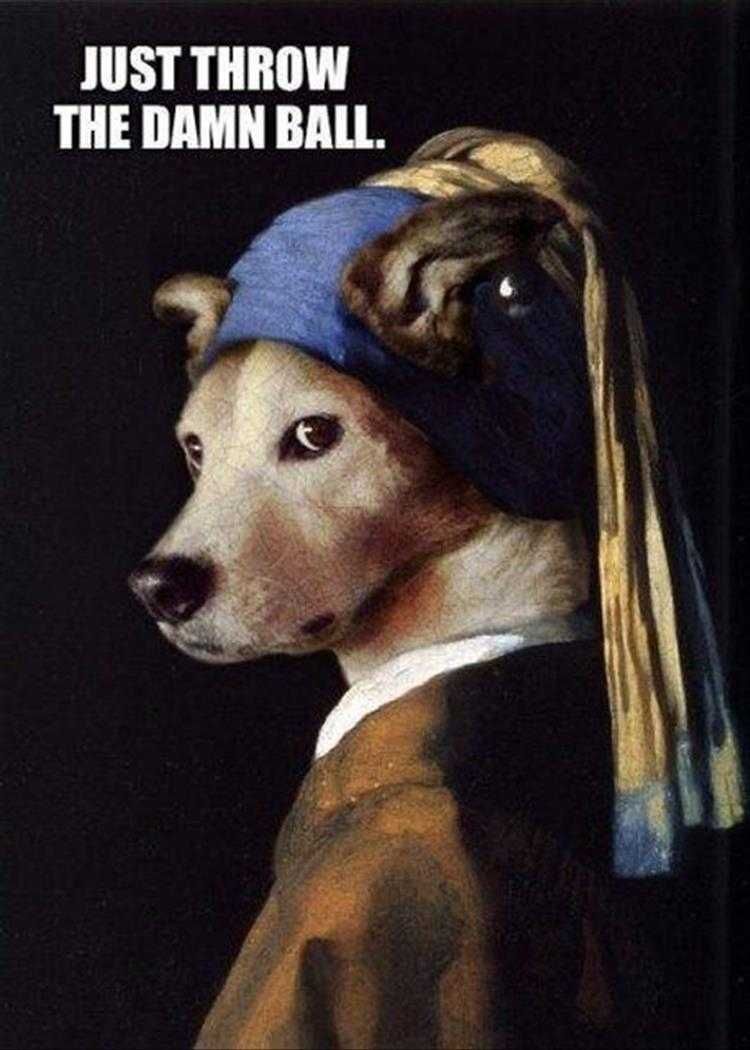 Hilarious Dog Meme Dog With No Pearl Earring